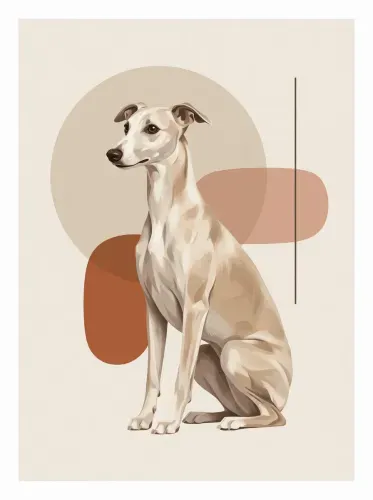 Modern Minimalist Greyhound Abstract Shapes